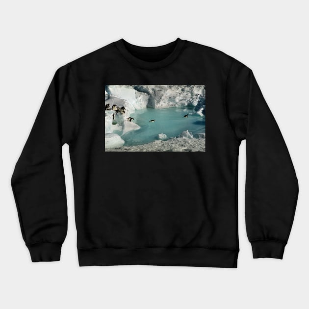 Adelie Procession #3 Crewneck Sweatshirt by Carole-Anne